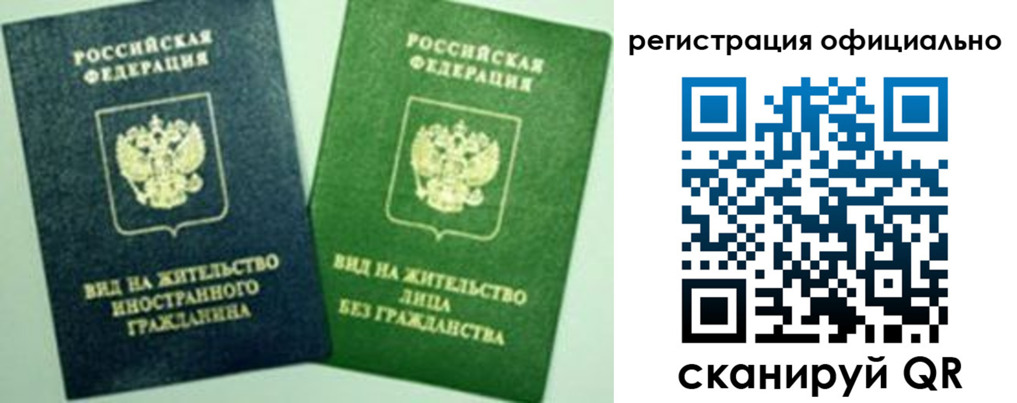 где прописаться в Ельне